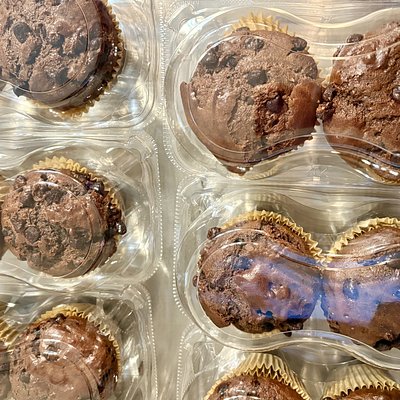 Sourdough Double Chocolate Chocolate Chip Muffins