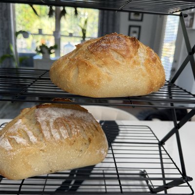 Dilly Things Mini Sourdough Loaf