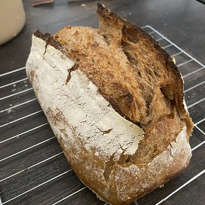 Whole Wheat Sourdough