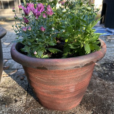 🌼🧡Fall Mum Planter