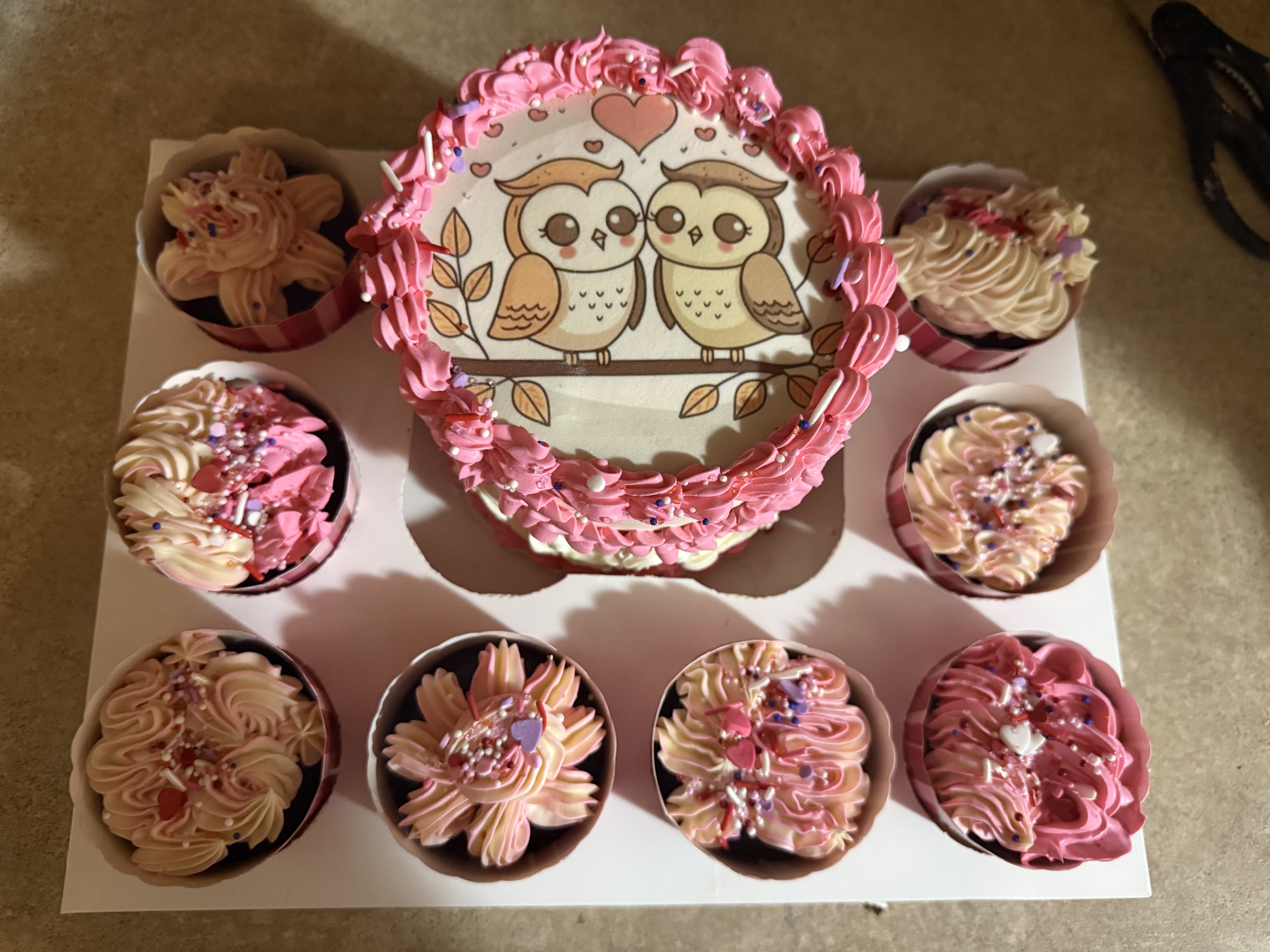 Bento Box With 8 Cupcakes