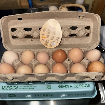Washed Eggs (18 Count)