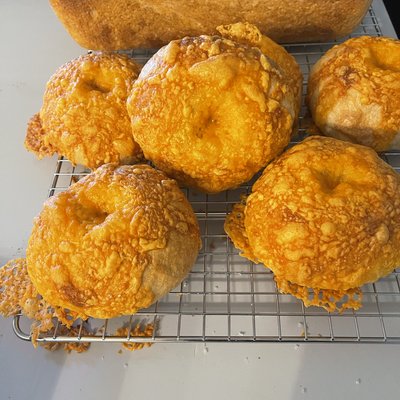 6 Cheddar Cheese 🧀Sourdough Bagels🥯