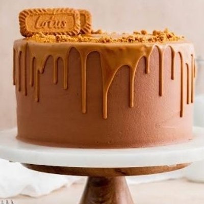 Chocolate Biscoff Cake