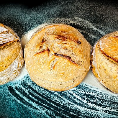 The Pioneer (Plain Sourdough)