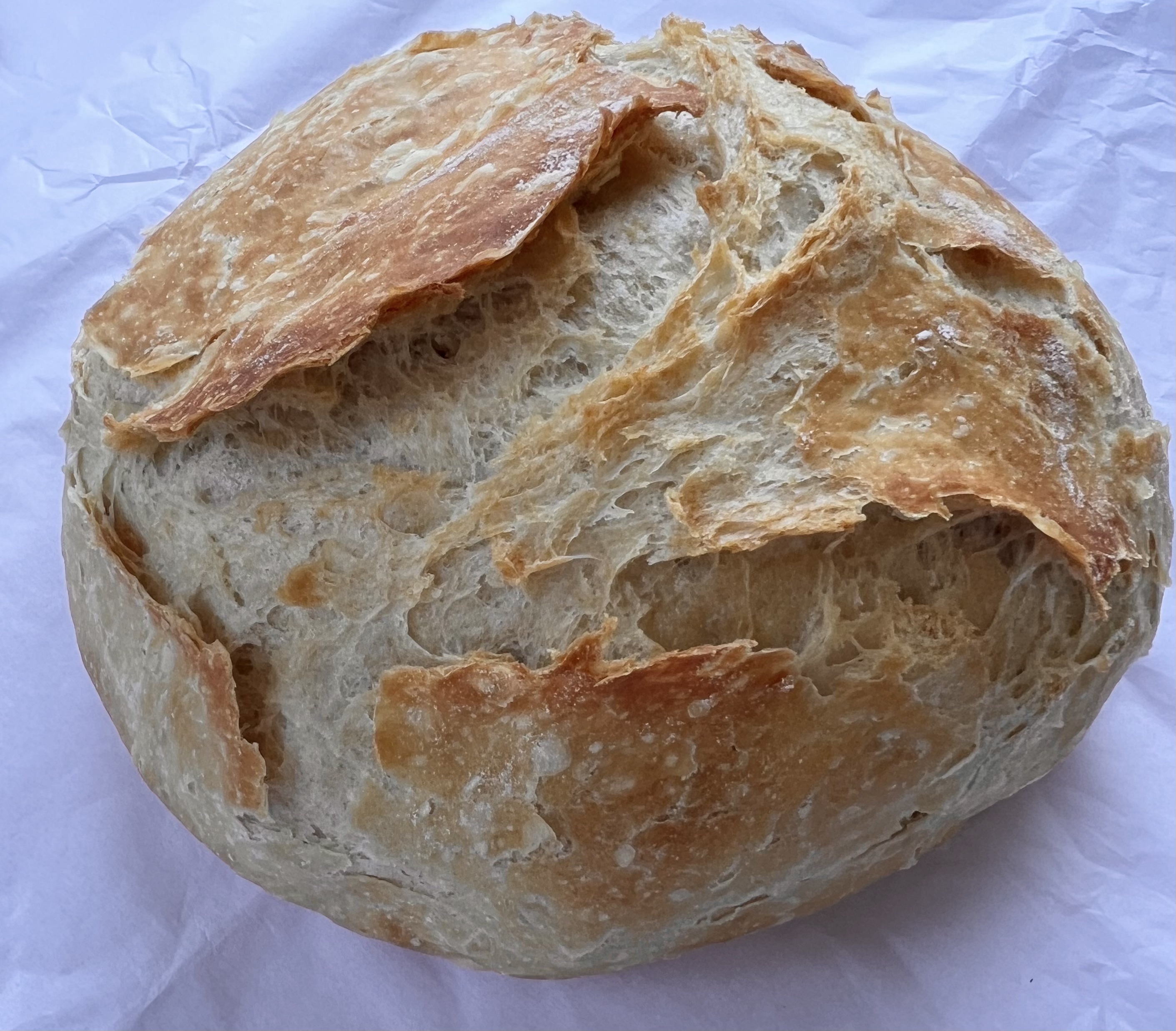 Rustic Artisan Bread