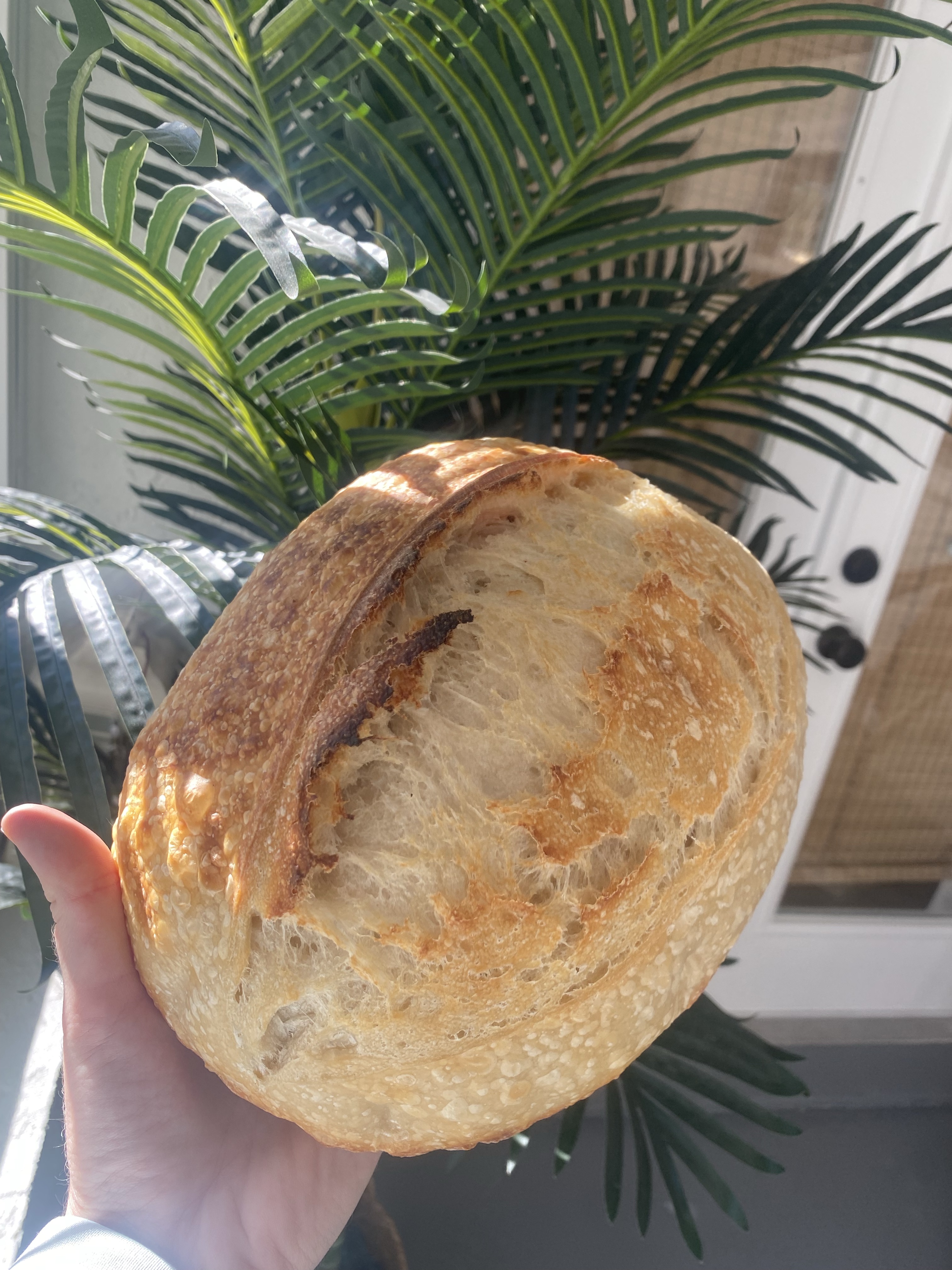 Original Plain Sourdough Loaf