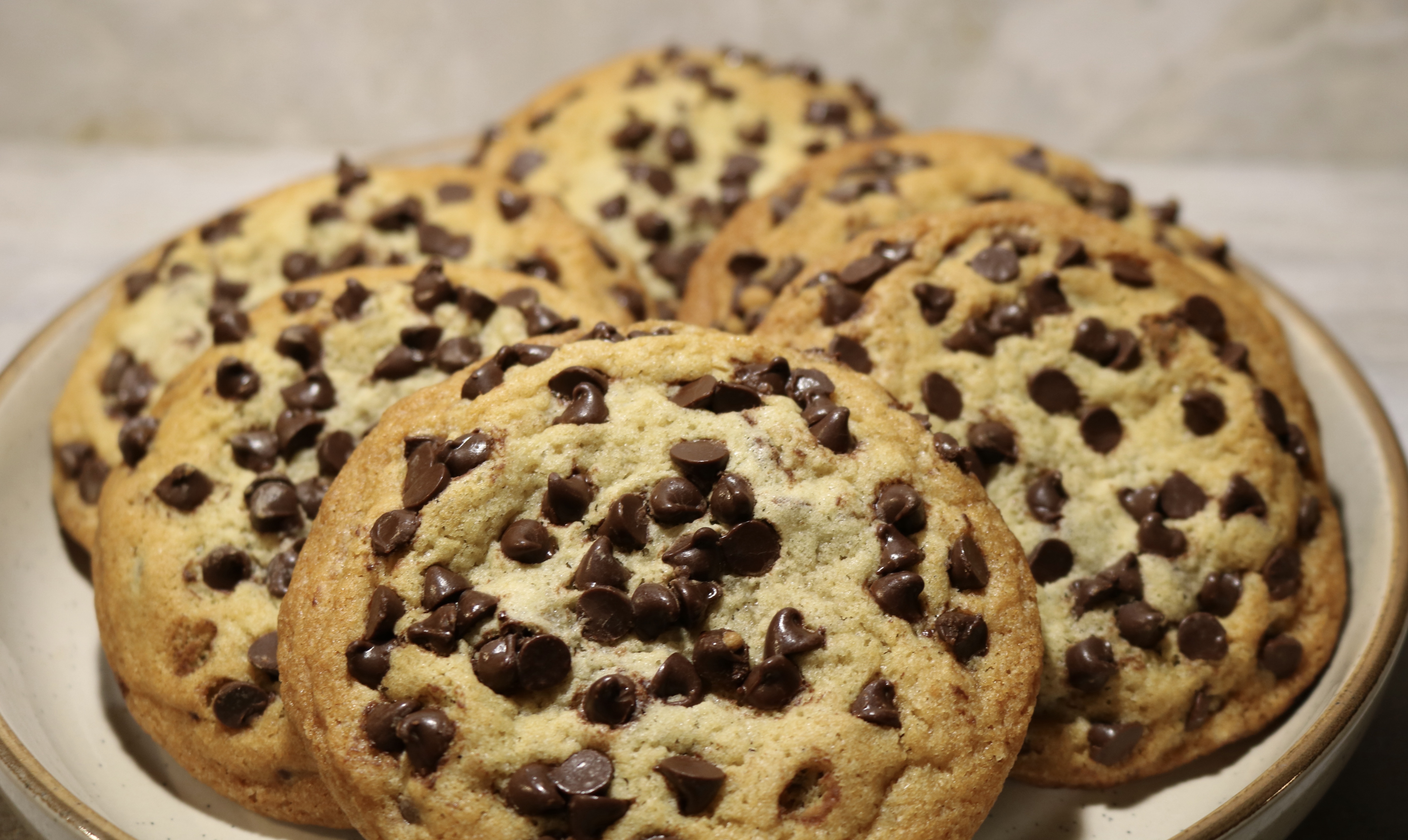 Chocolate Chip 