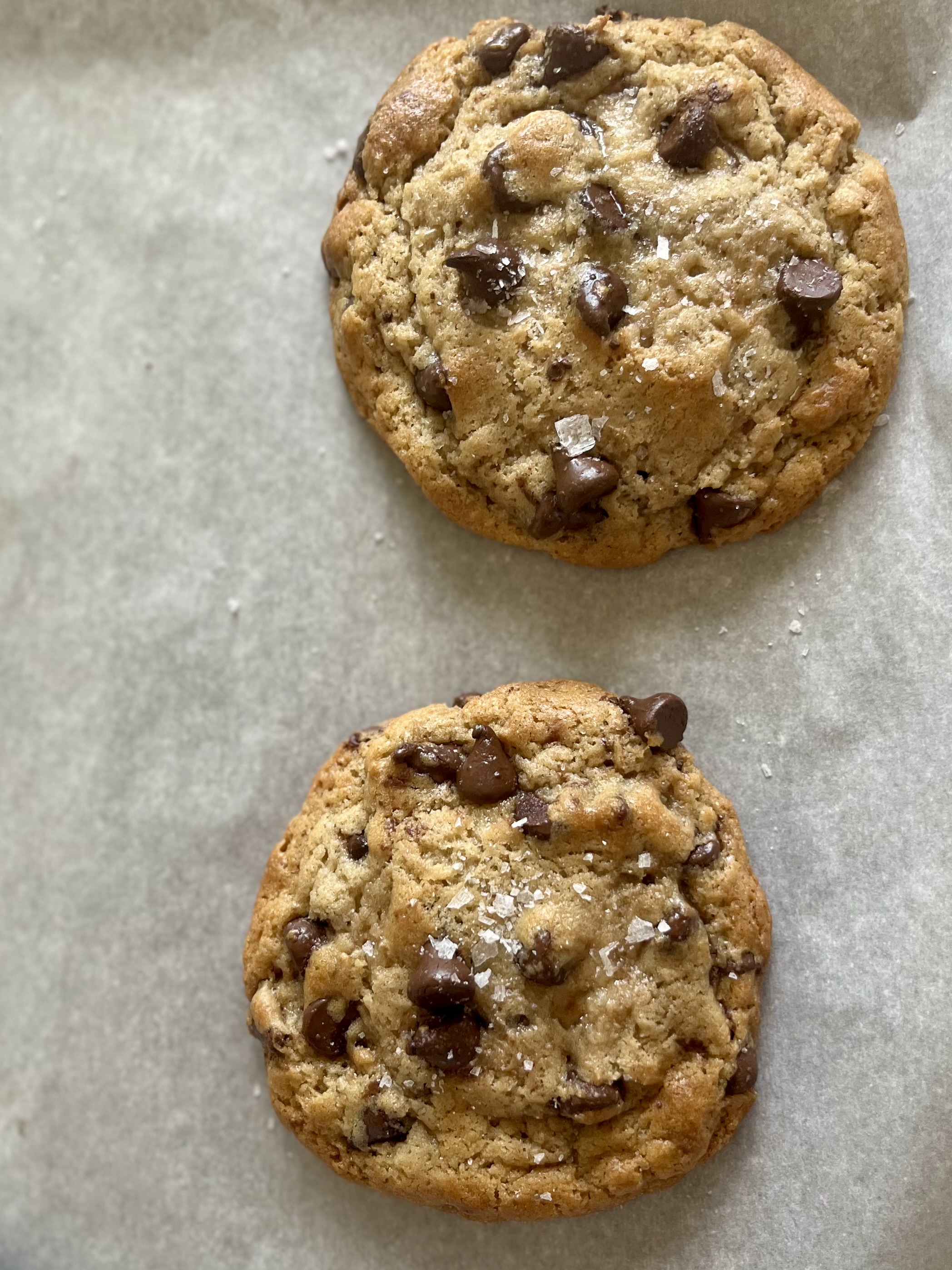 Brown Butter Chocolate Chip Sourdough Cookies (12)
