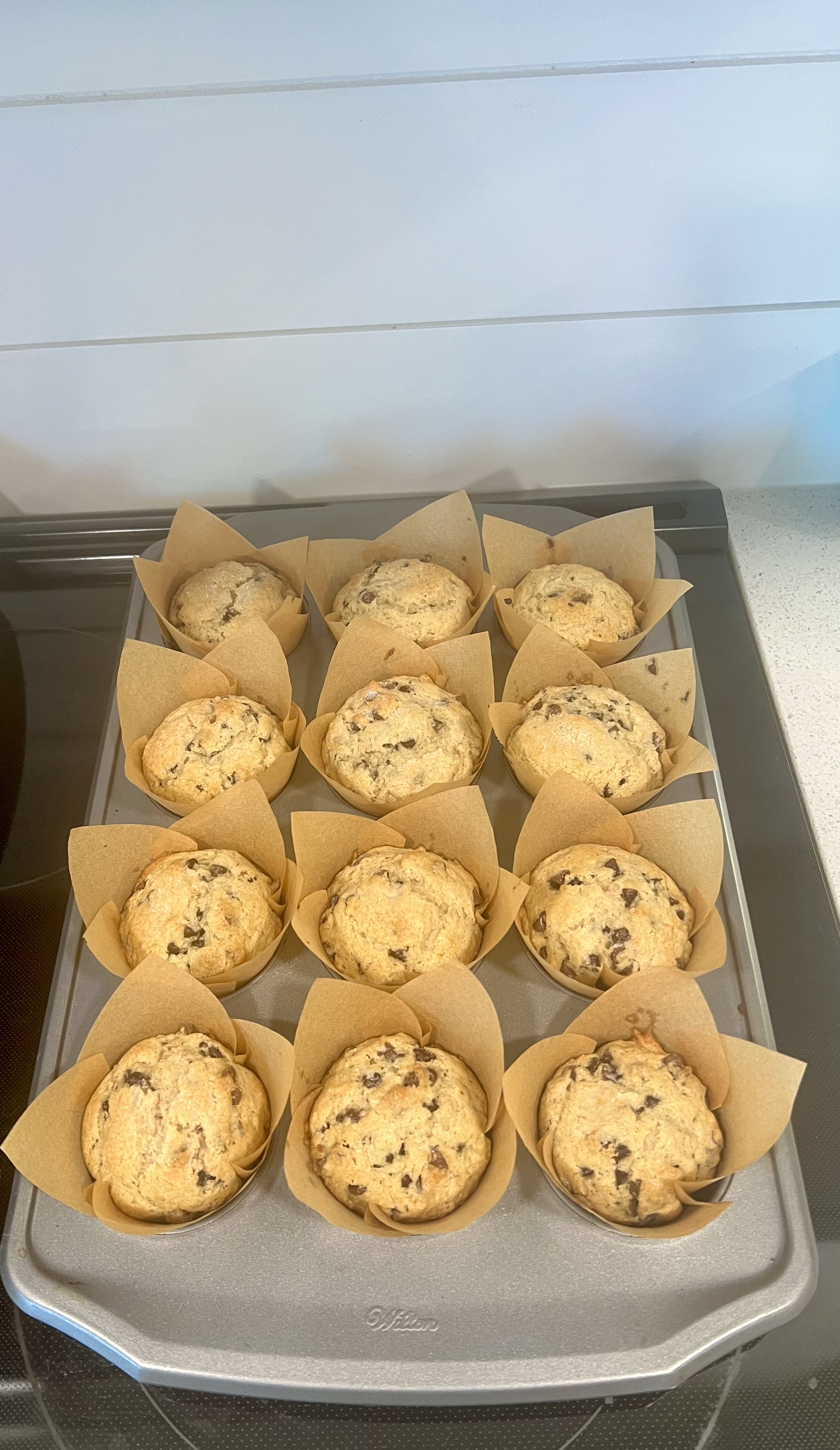 Chocolate Chip Muffins 