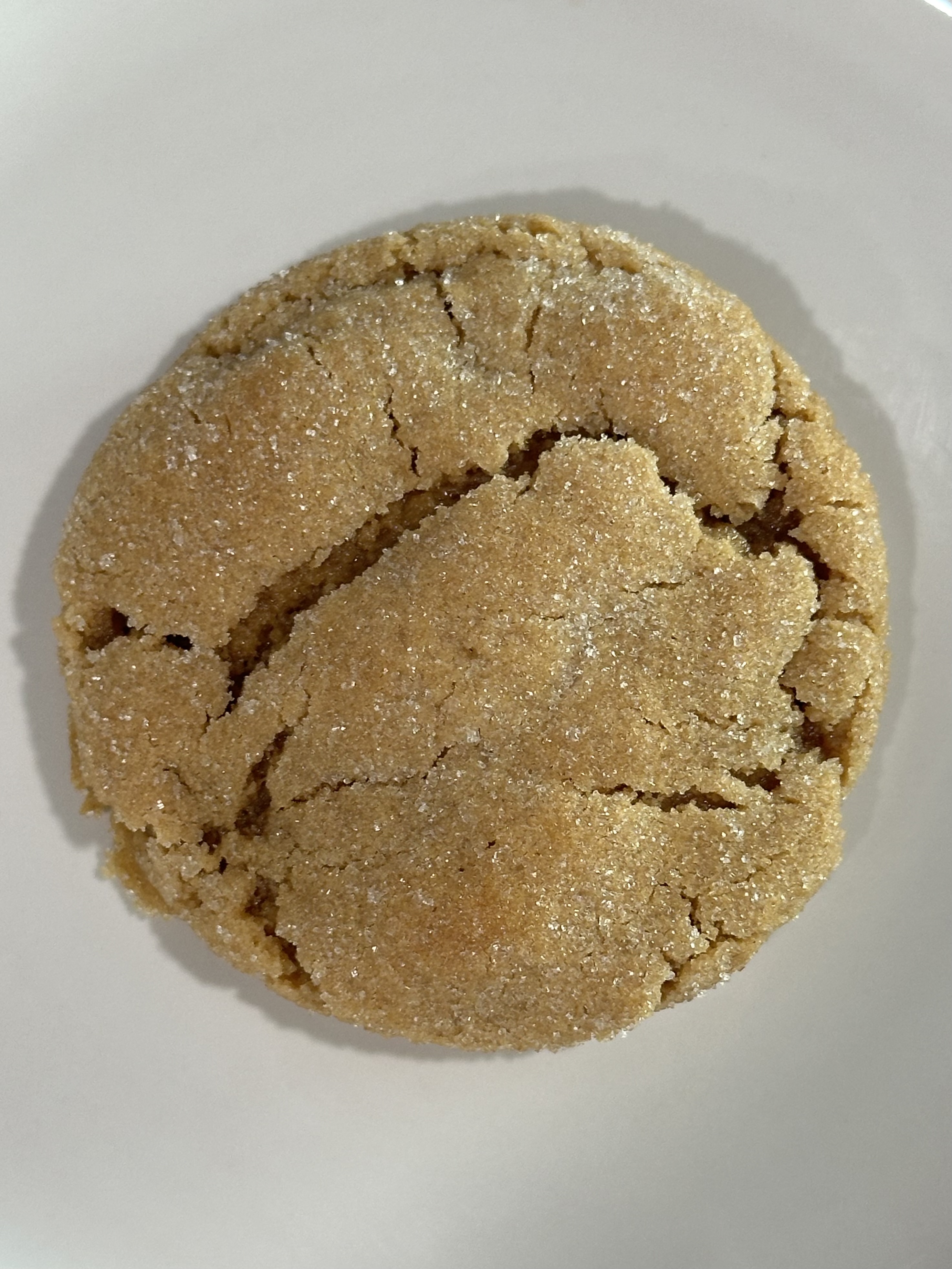 Peanut Butter Cookie 