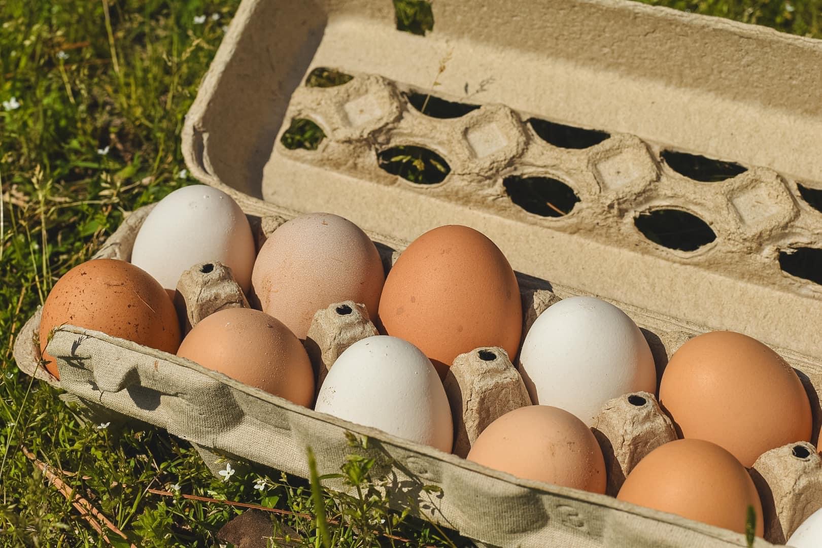 Eggs
