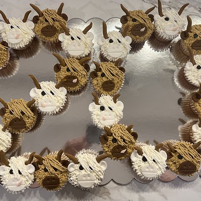 Dozen Cupcakes