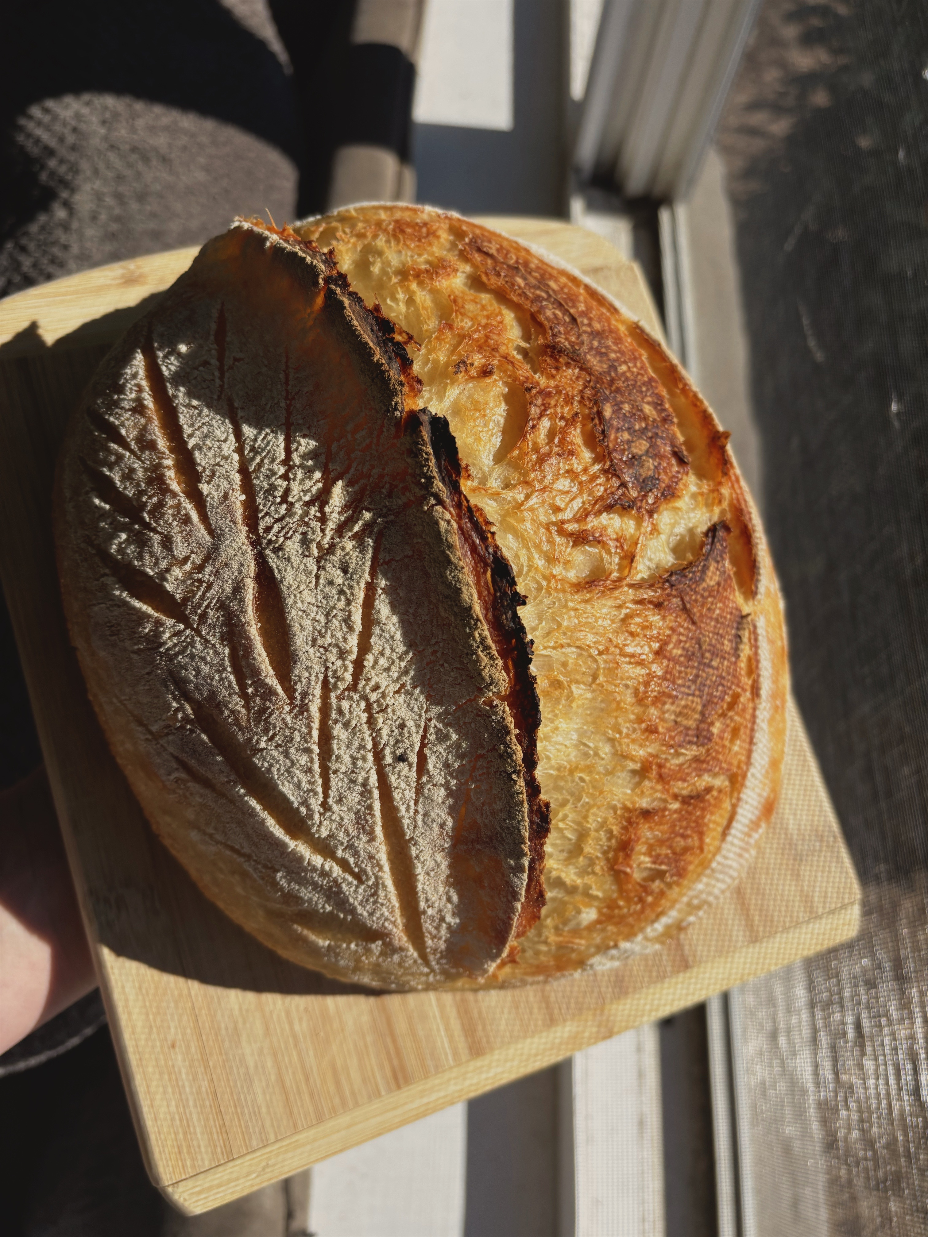 Organic White Sourdough Loaf