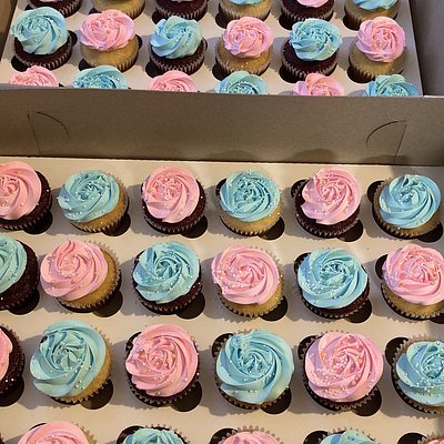 Gender Reveal Cupcakez