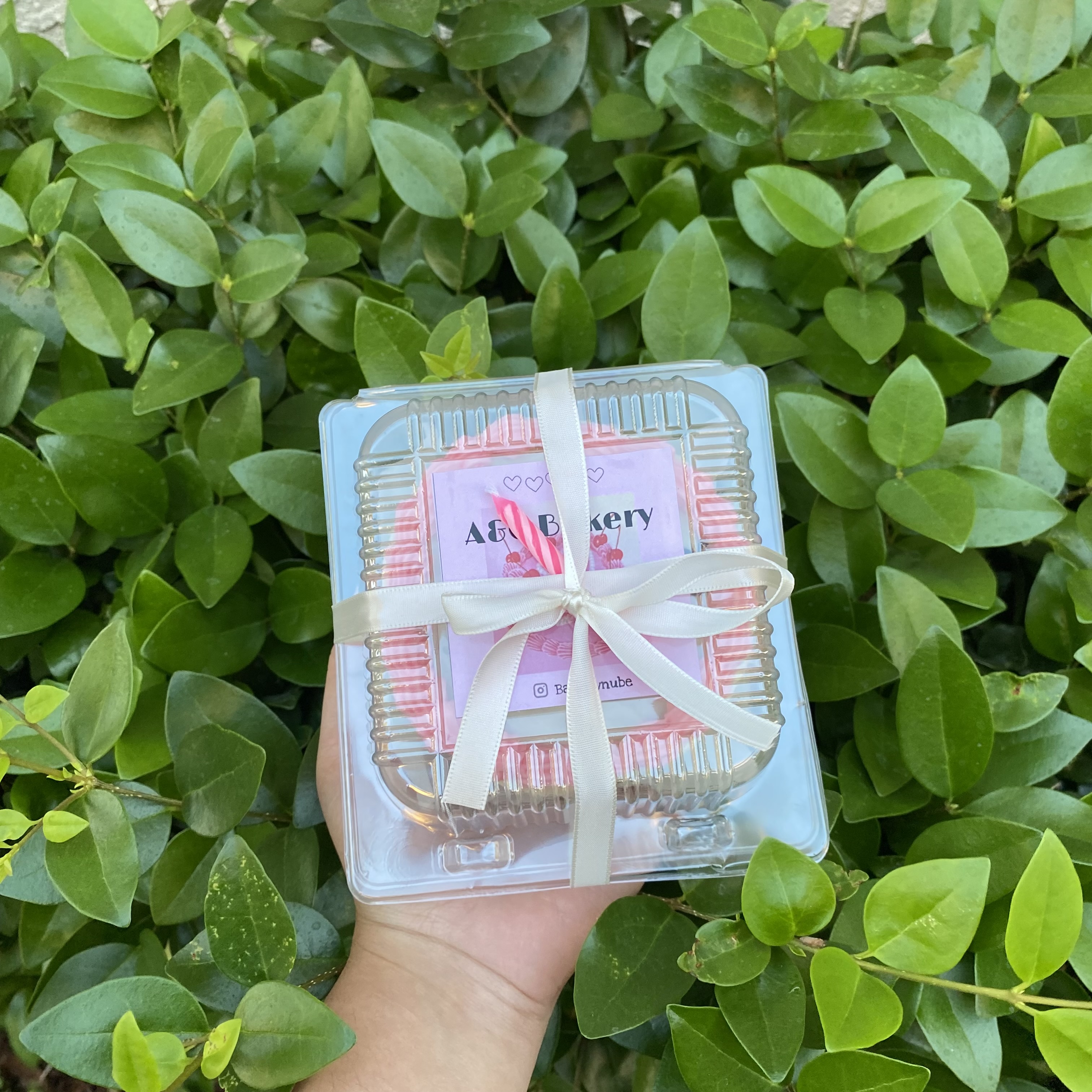 Mini Bento 