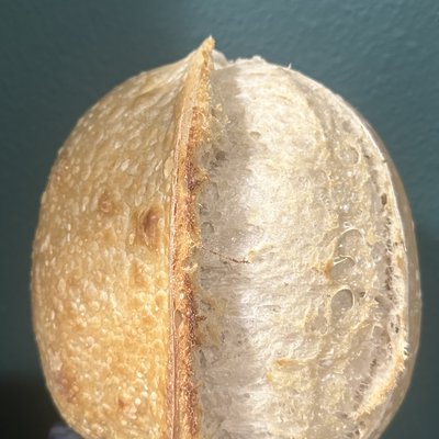 Classic Sourdough