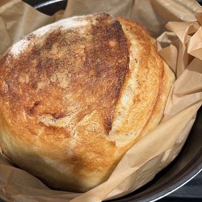 Plain Sourdough Loaf