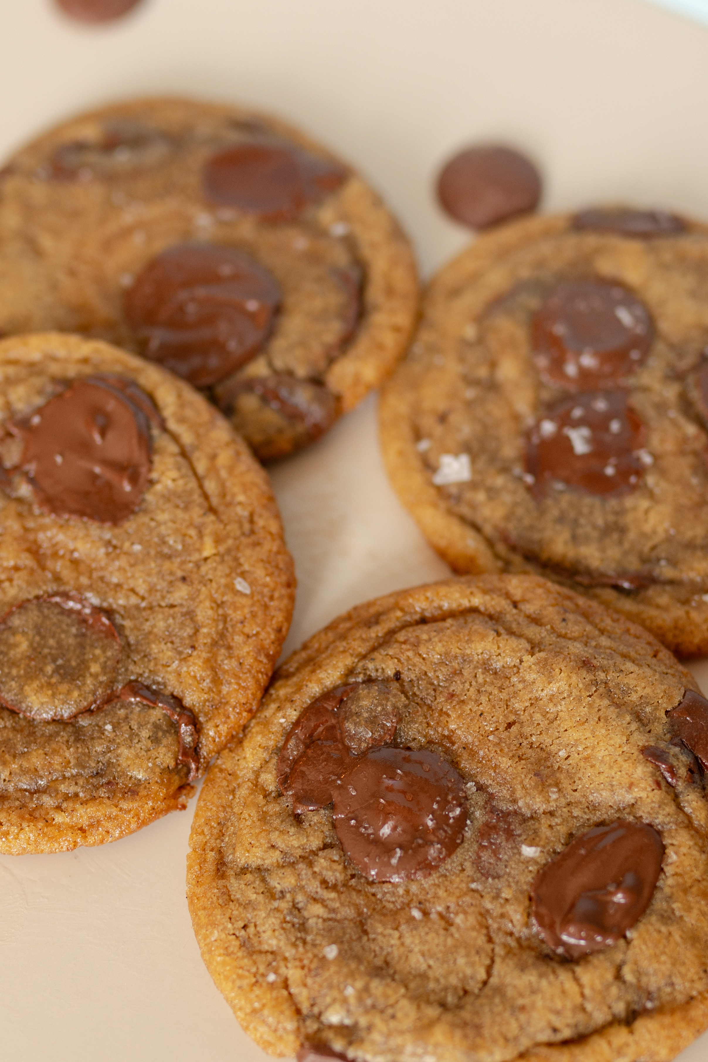 Semi-Sweet Chocolate Chip