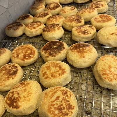Sourdough English Muffins 