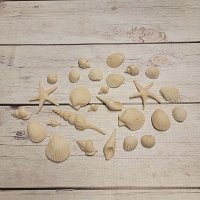 Sea Shells