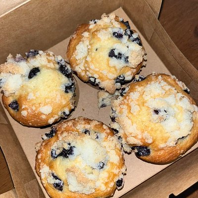 Sourdough Blueberry Muffins 