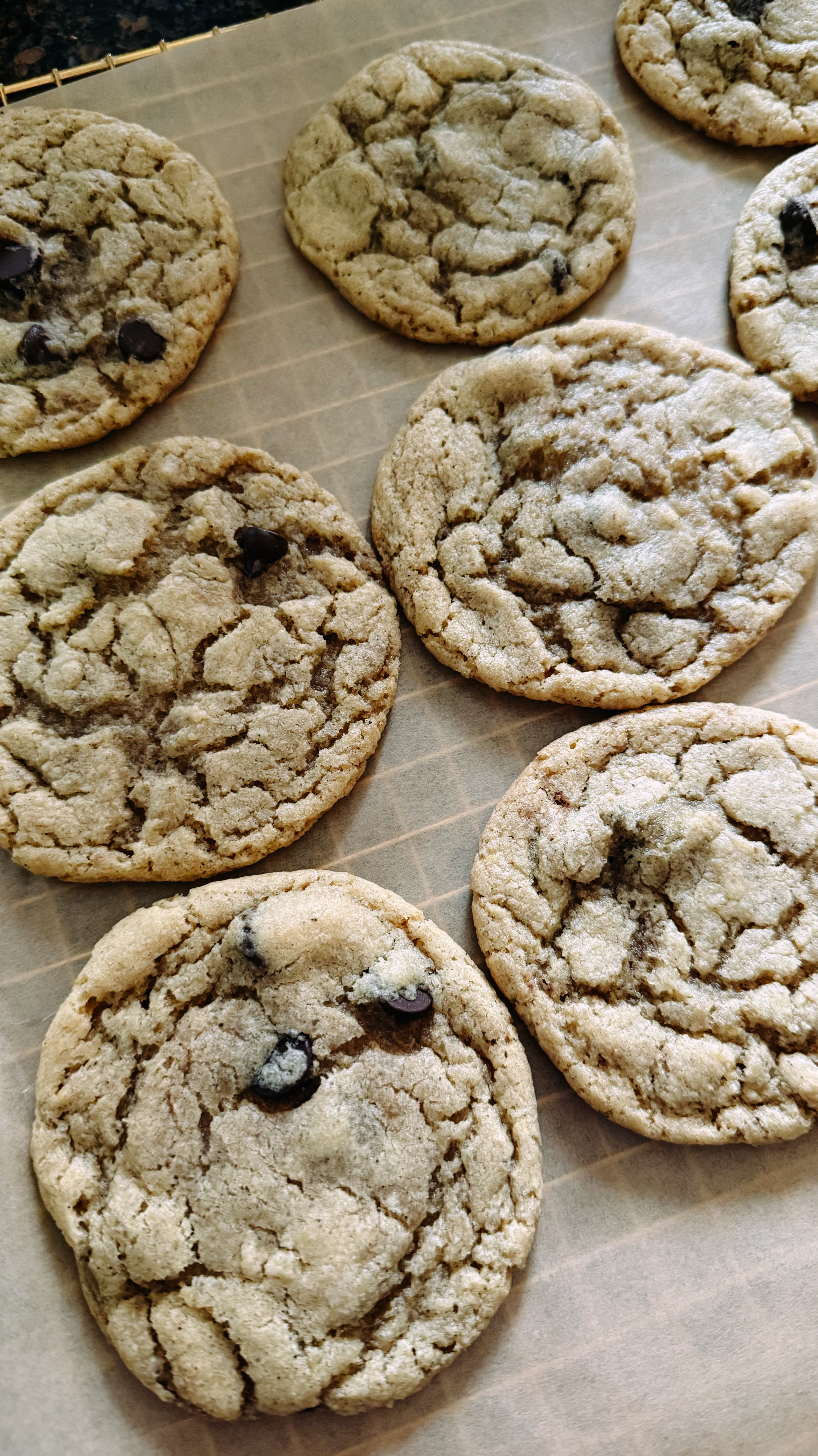 Sourdough Chocolate Chip Cookie
