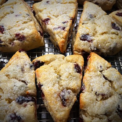 Cranberry Orange Scones 8 Count