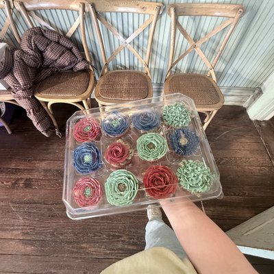 Cupcakes 