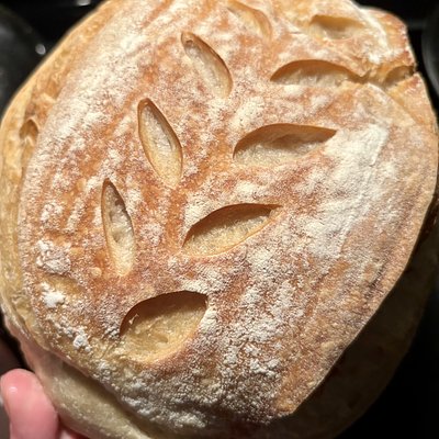 Sourdough Loaf