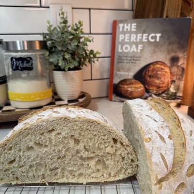 Sourdough Loaf (plain) 