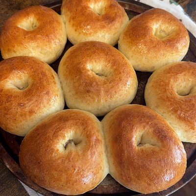Plain Bagels (10)