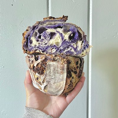Blueberry Lemon Goat Cheese