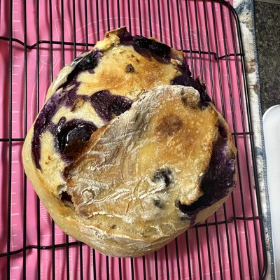 Blueberry Lemon Sourdough Loaf