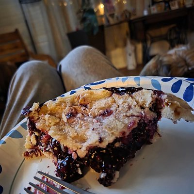 BlackBerry Cobbler 9 Inch