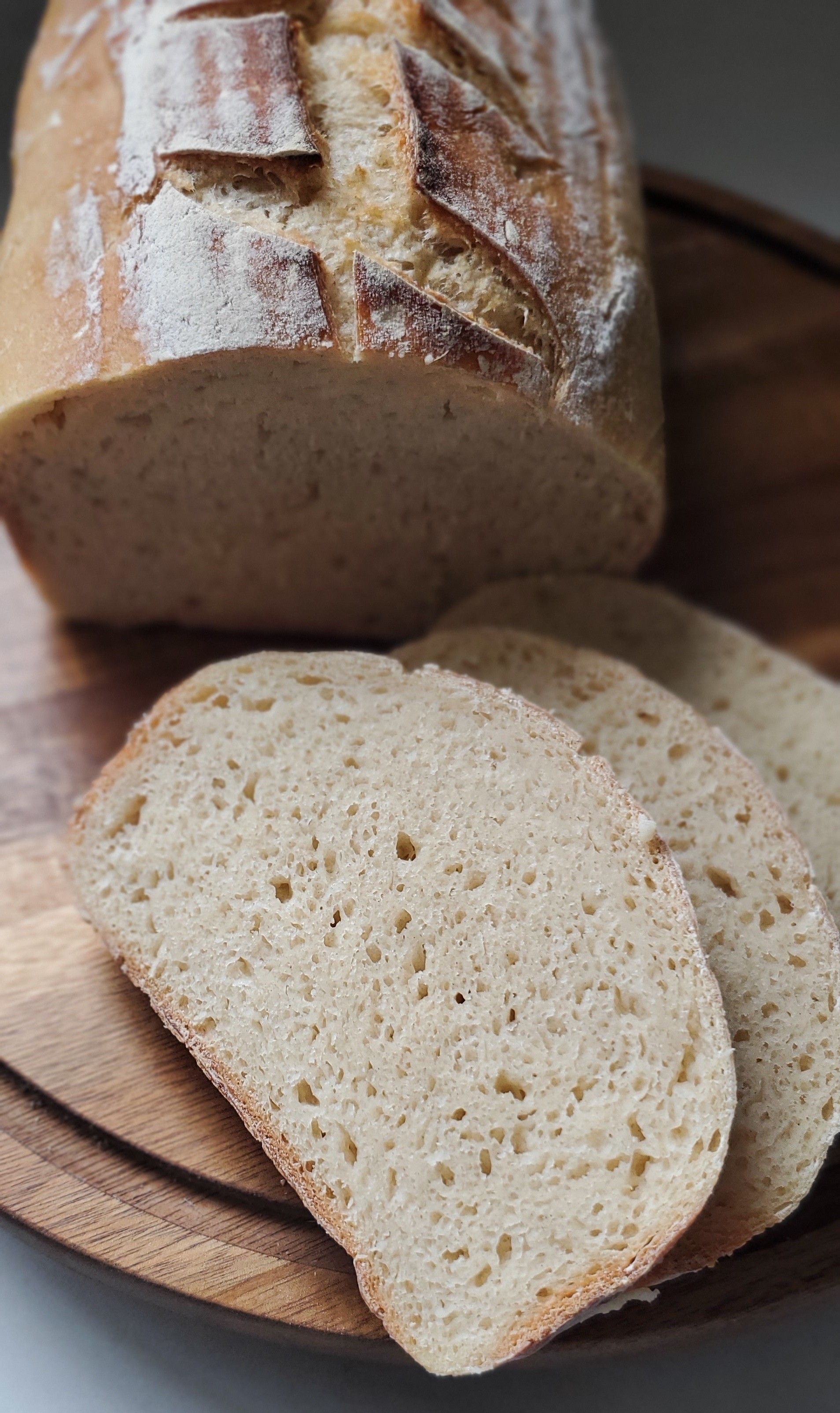 Gluten Free Sandwich