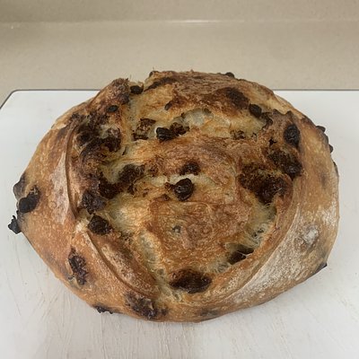 Chocolate Chip 