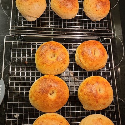 Sourdough Everything Bagels - 6 Pack
