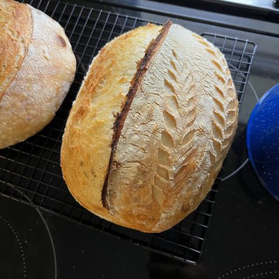Regular Sourdough Loaf