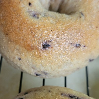 Blueberry Bagels - Quantity 8