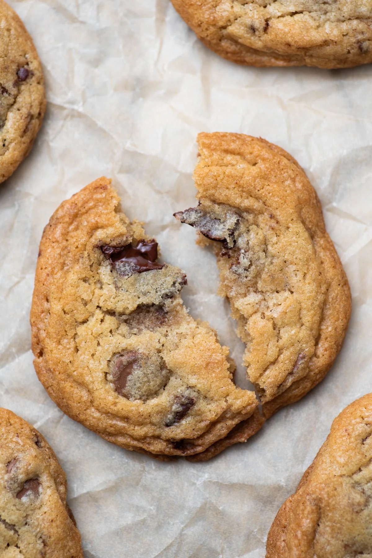 Chocolate Chip Cookies