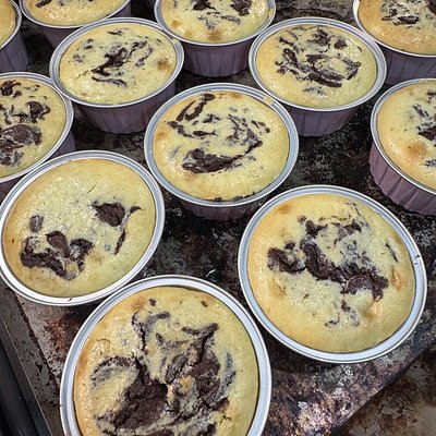Sourdough Cheesecake Brownies 8in Pan