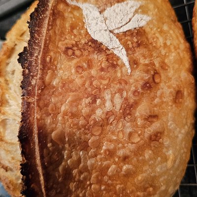 Classic Sourdough