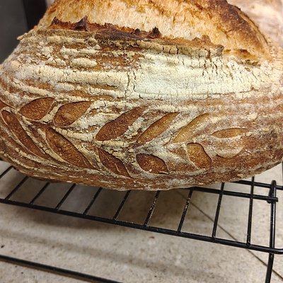 Sourdough Bread 