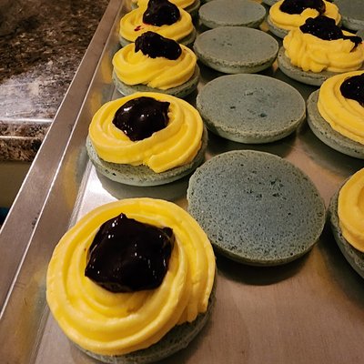 Lemon-Blueberry