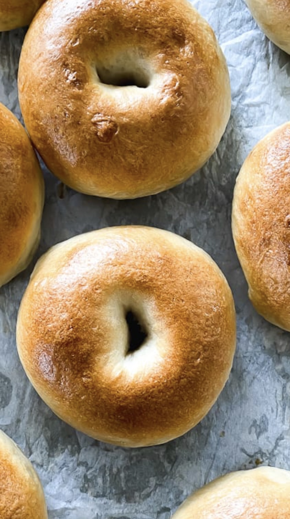 Plain Bagels