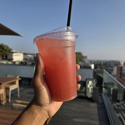 Beau-tea Tea Kit