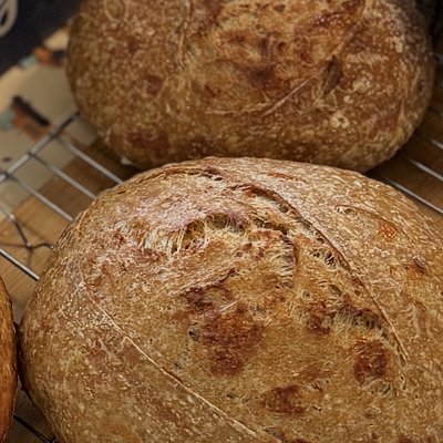 Garlic Mozzarella Sourdough