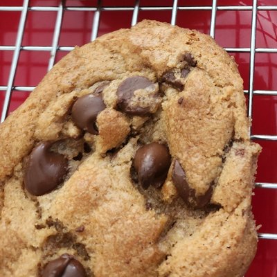 Chocolate Chip Cookie 