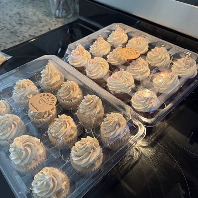 Cupcakes (24) 
